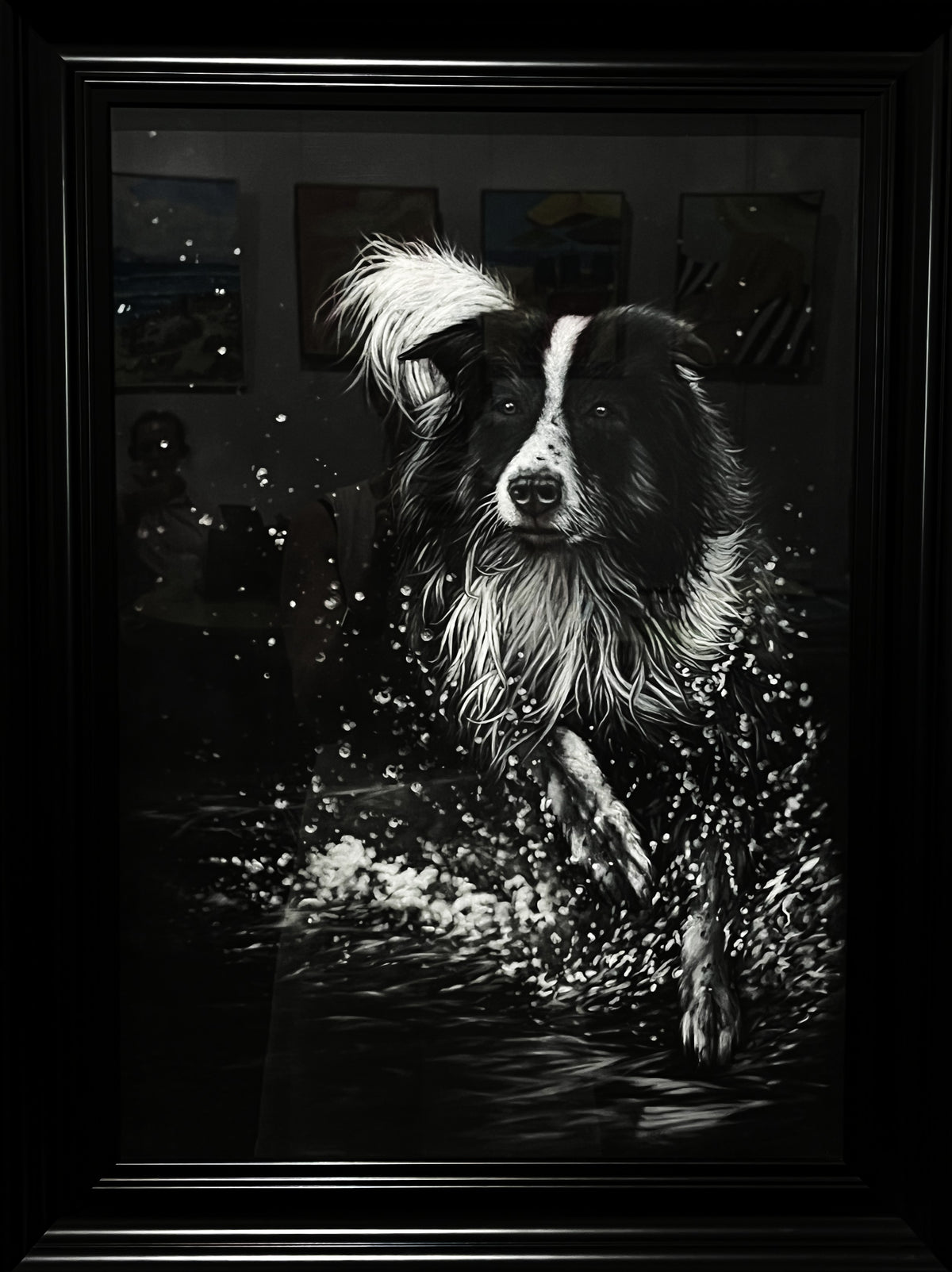 Collie Play