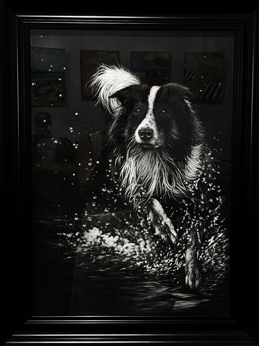 Collie Play